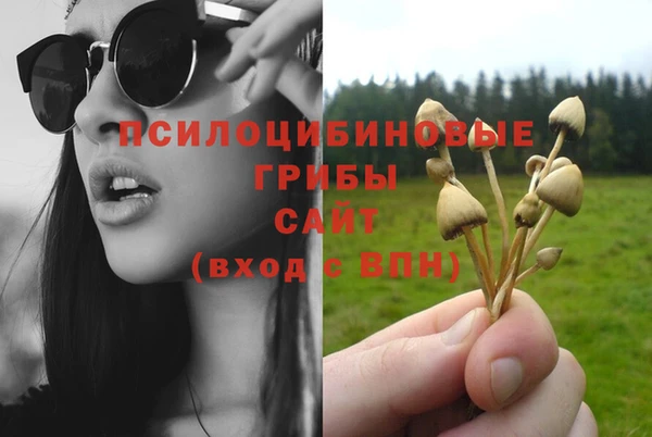 мдпв Беломорск